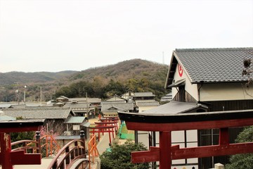 IMG_2510.jpg