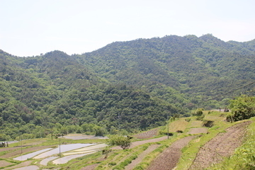 IMG_4718-thumbnail2.jpg