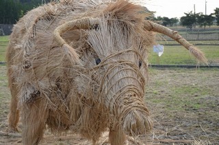 014-647e8-thumbnail2.jpg