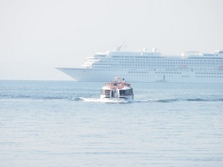 019-d5fb7-thumbnail2.jpg