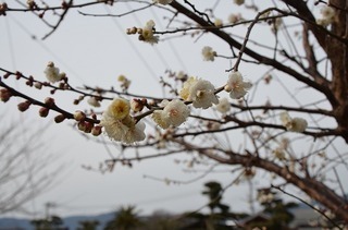 027-4f708-thumbnail2.jpg