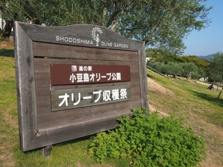 041.jpg