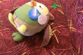 050120004-thumbnail2.jpg