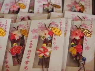 060-0d5f0-thumbnail2.jpg