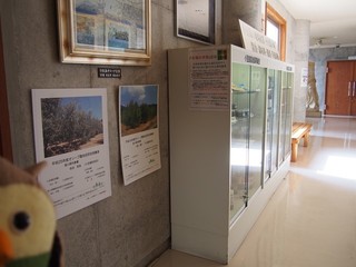 0613000_R.jpg