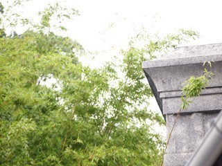 0613005_R-07d0d-thumbnail2.jpg