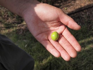 0613011_R.jpg