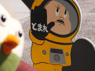 0613012_R.jpg