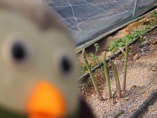 0613017_R.jpg