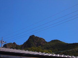 0613021_R.jpg