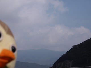 0613024_R.jpg