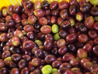 0613032_R.jpg