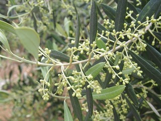 0613033_R.jpg