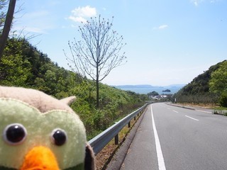 0613044_R-215ee-thumbnail2.jpg