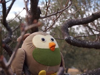 0613054_R.jpg