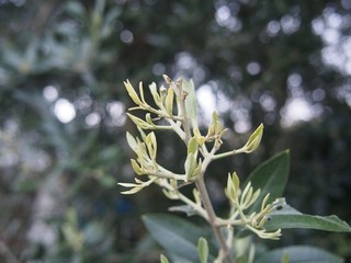 0613059_R.jpg