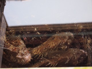 0613065_R.jpg