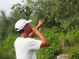 0613066_R.jpg