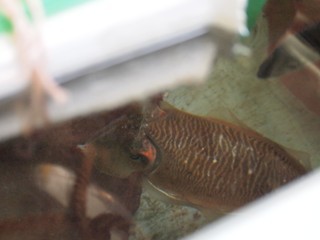 0613067_R.jpg
