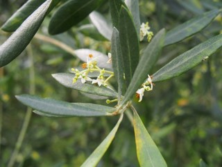 0613074_R.jpg