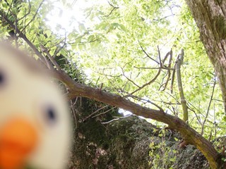 0613077_R.jpg