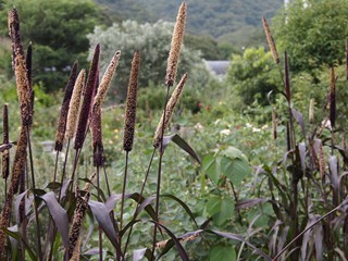 0613089_R.jpg