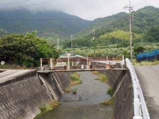 0613090_R.jpg