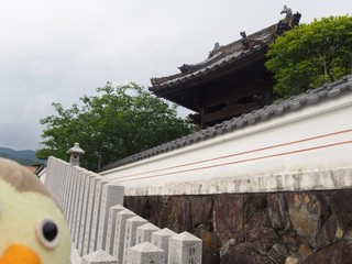 0613092_R.jpg