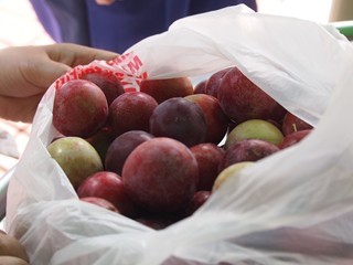 0613094_R.jpg