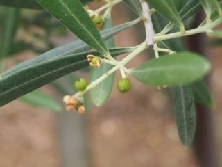0613094_R.jpg