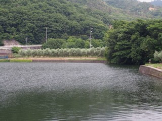 0613097_R.jpg