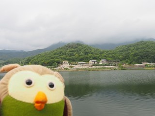 0613099_R.jpg