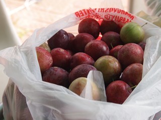 0613099_R.jpg