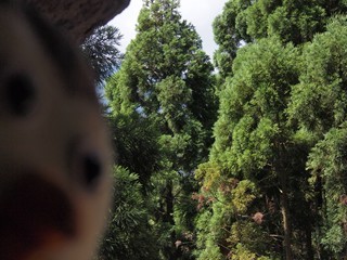 0613102_R.jpg