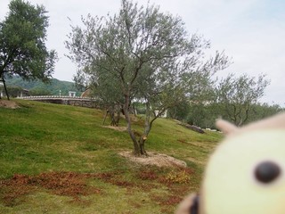 0613127_R.jpg