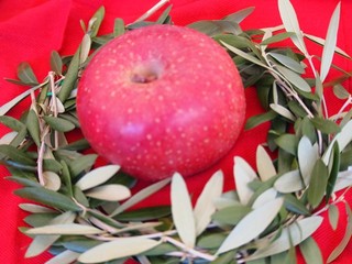 0613176_R.jpg