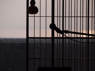 0613189_R.jpg