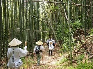 088-da047-thumbnail2.jpg