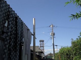 097.JPG