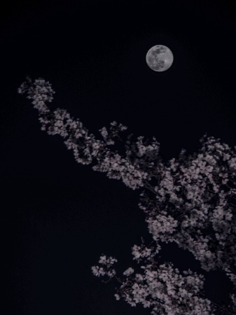 0E0D9445-7F92-4AE6-A7A5-FB54645C46A4.jpeg