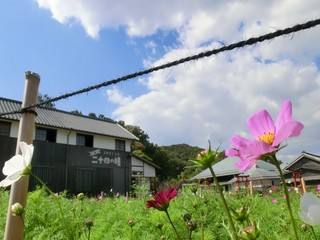 1029 046_R.jpg