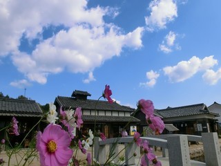102920063_R-thumbnail2.jpg