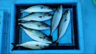 20130912_182825.jpg