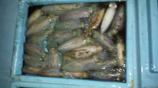 20130913_202431.jpg