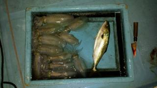 20130918_191047.jpg