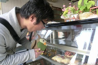 22027fujisawa20095-thumbnail2.jpg