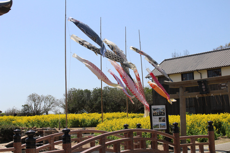 230410_f摺 (2)00.JPG