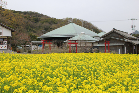240402_f摺 (14)00.JPG