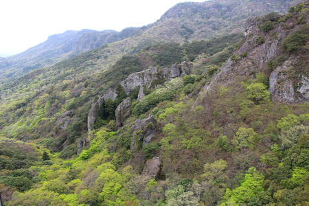 240415_k (3)00.JPG