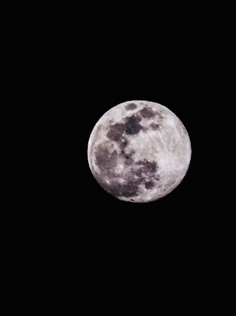 49B1F06A-6612-43FF-9BE7-FDC0D4006602.jpeg
